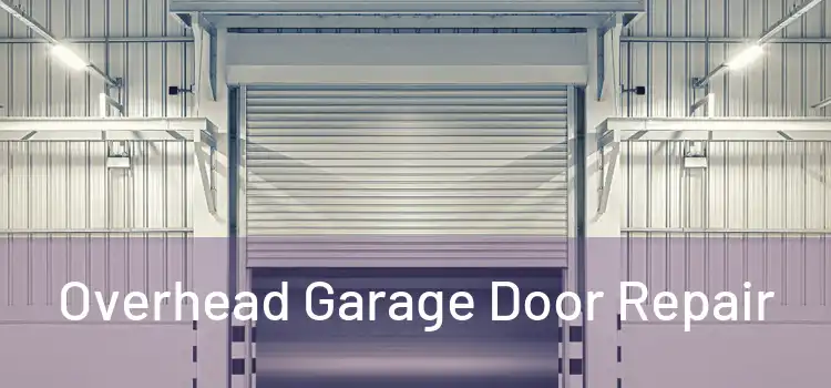  Overhead Garage Door Repair 